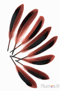 Anatra - 8-10 cm - caramello